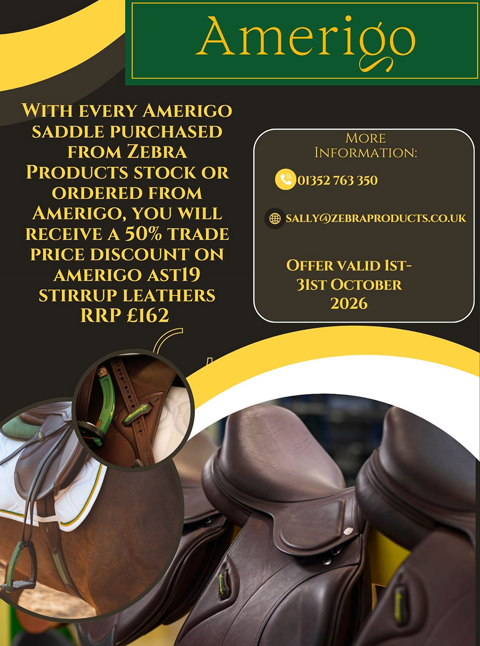 Amerigo-October-saddle-offer.jpg